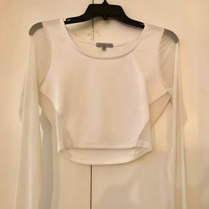 White Sheer Long Sleeve Crop Top
